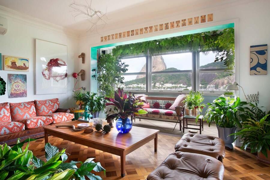 plantas purificadoras de ar para apartamento