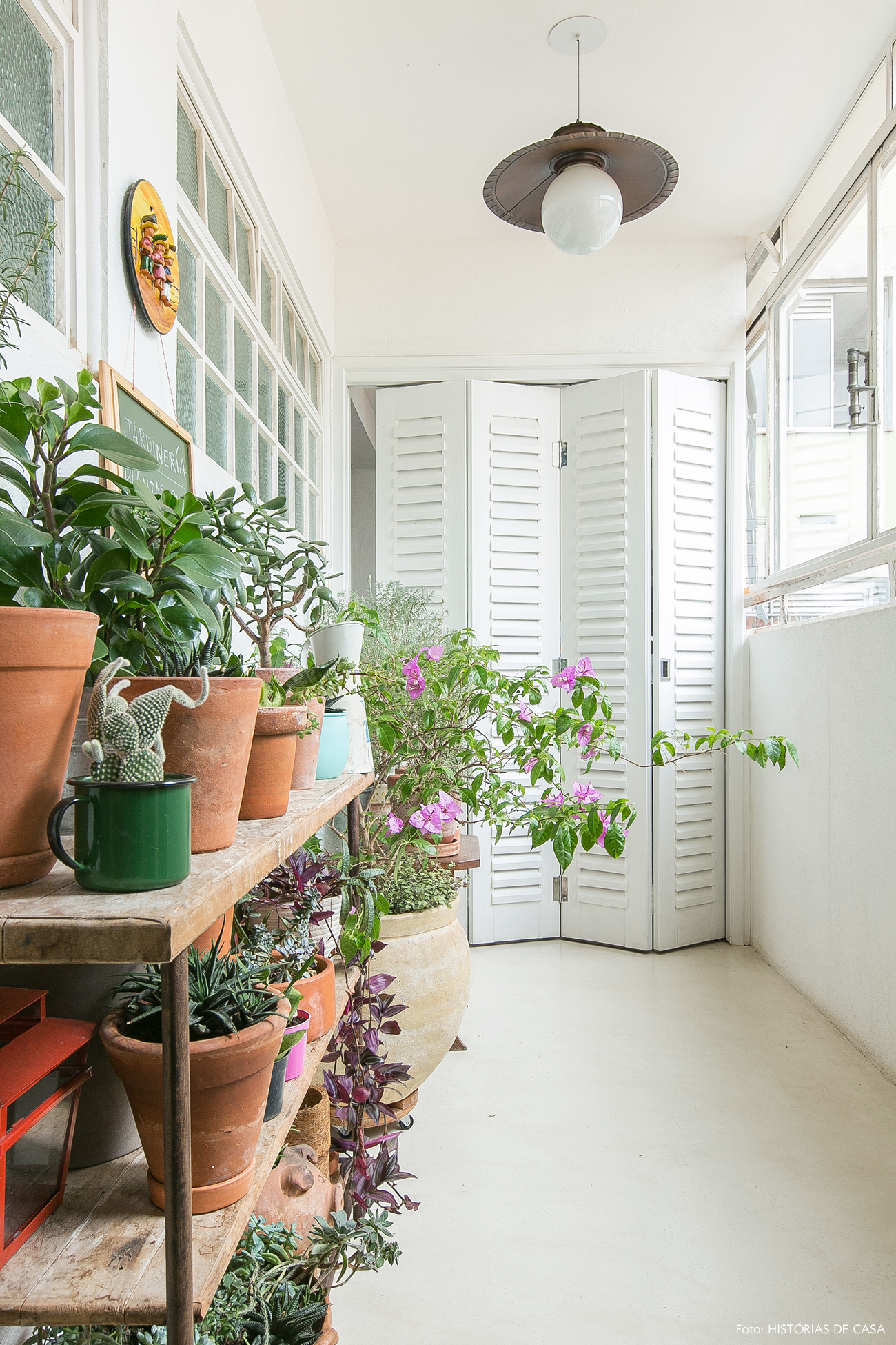 plantas de interior fáceis de cuidar