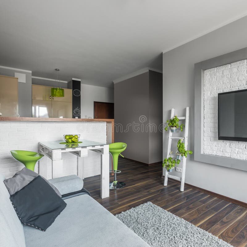 apartamento moderno pequeno projeto