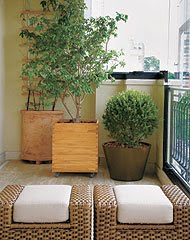 plantas grandes para apartamento