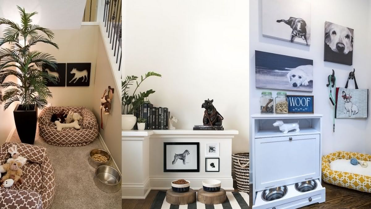 espaço pet em apartamento pequeno
