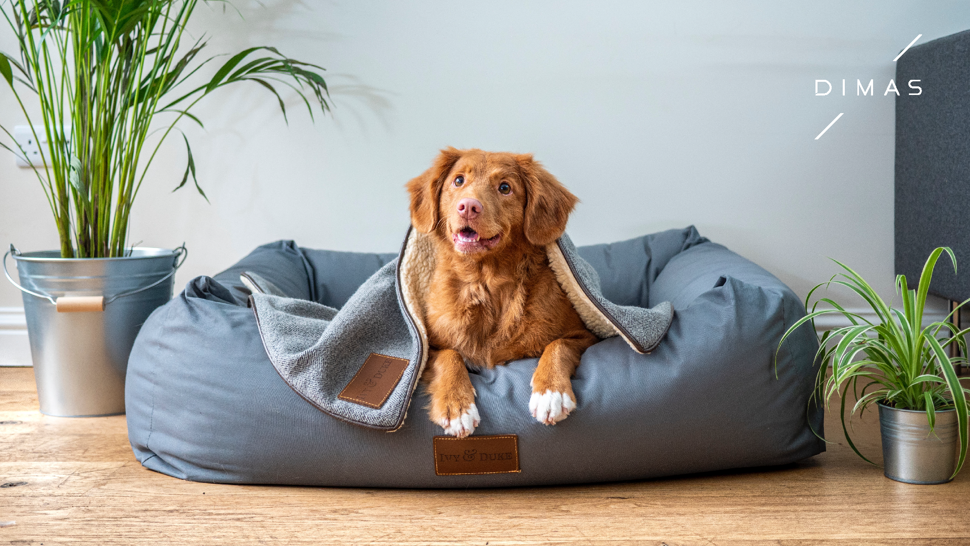 ideias cantinho pet apartamento