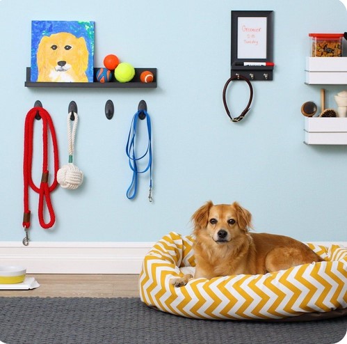 cantinho pet integrado apartamento