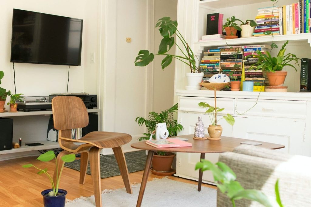 plantas decoração apartamento alugado