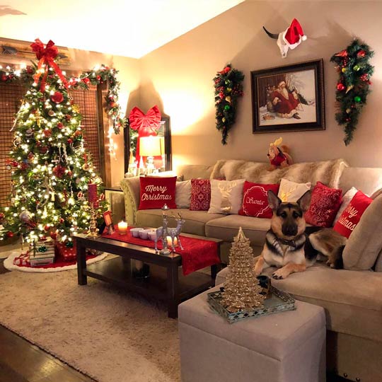 árvore de natal para apartamento pequeno
