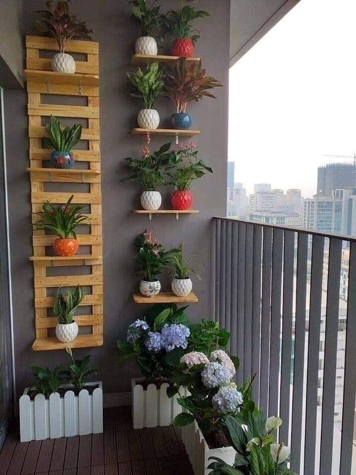 comprar flor para apartamento online