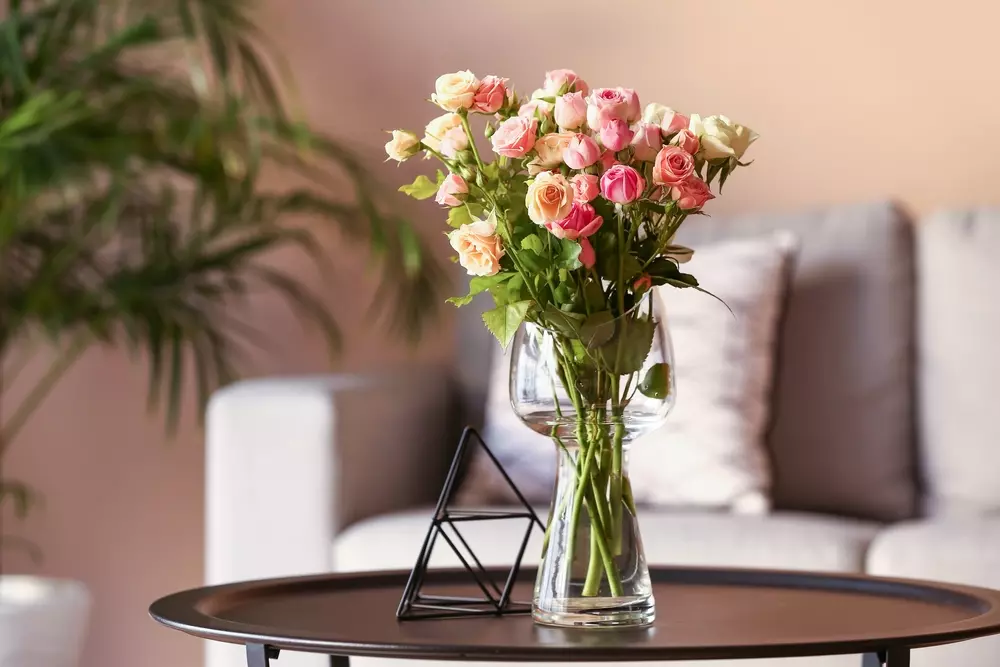 plantas floridas para sala escura