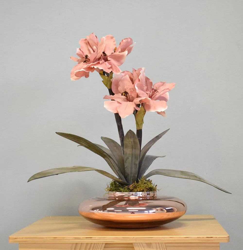 plantas pet friendly com flor
