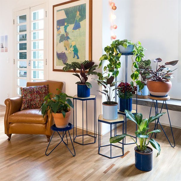 flores para apartamento pequeno