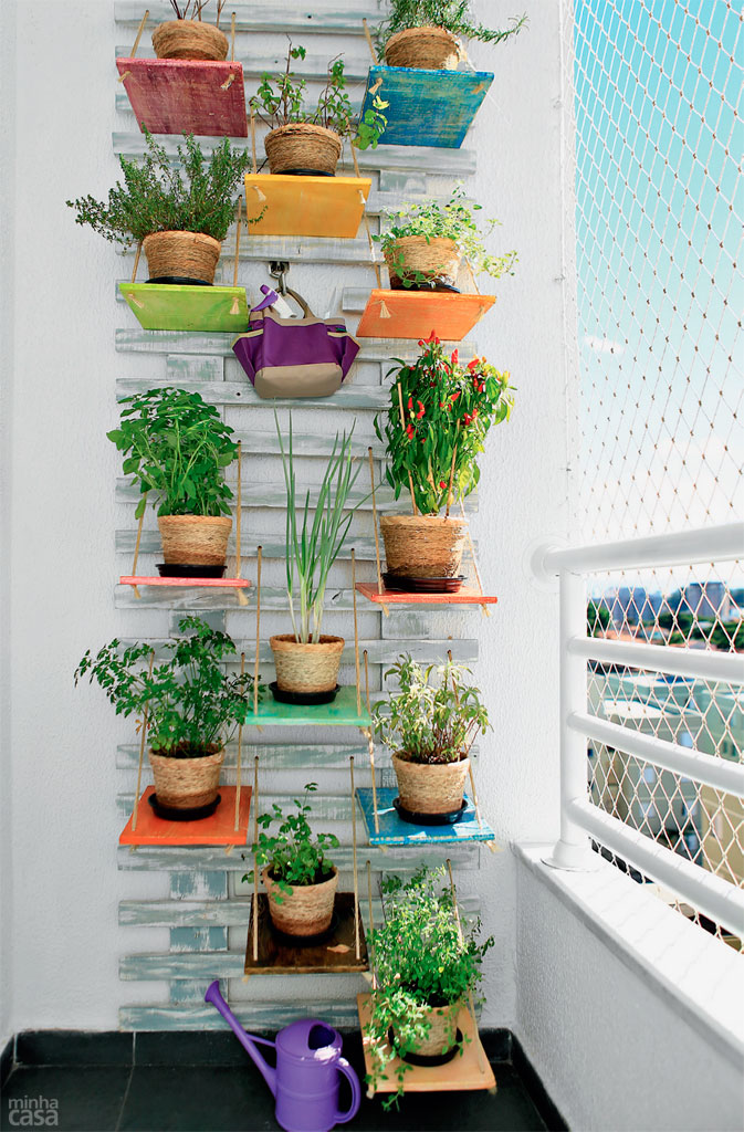 plantas para apartamento com pouca luz