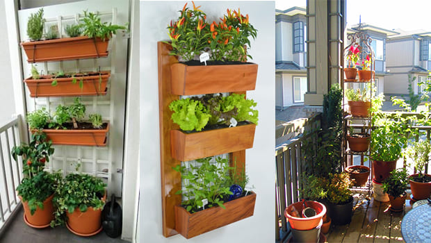 cuidados com horta em apartamento