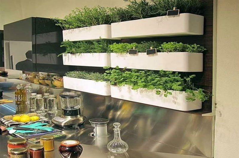 horta em apartamento com mudas