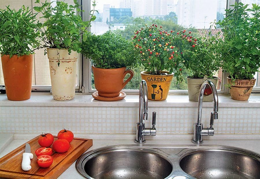 horta em apartamento varanda