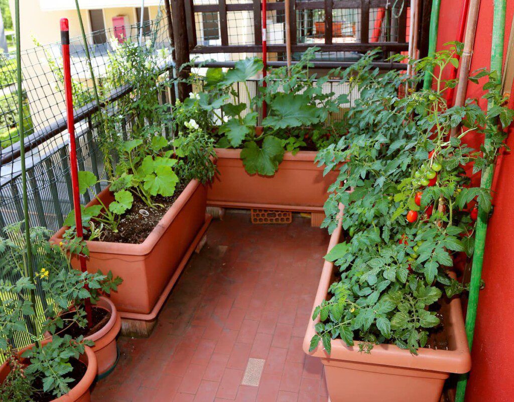 horta vertical em apartamento