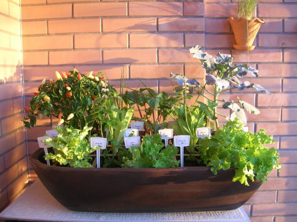 horta em apartamento autoirrigável