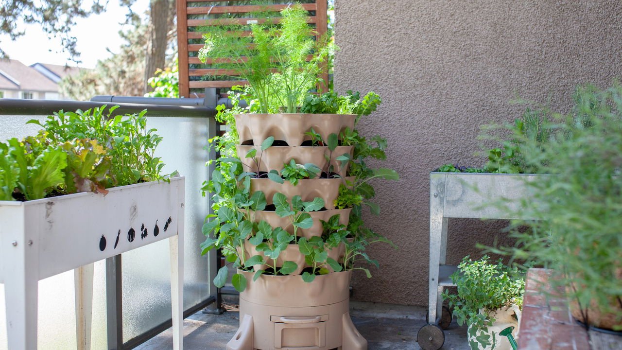 horta vertical apartamento sustentavel