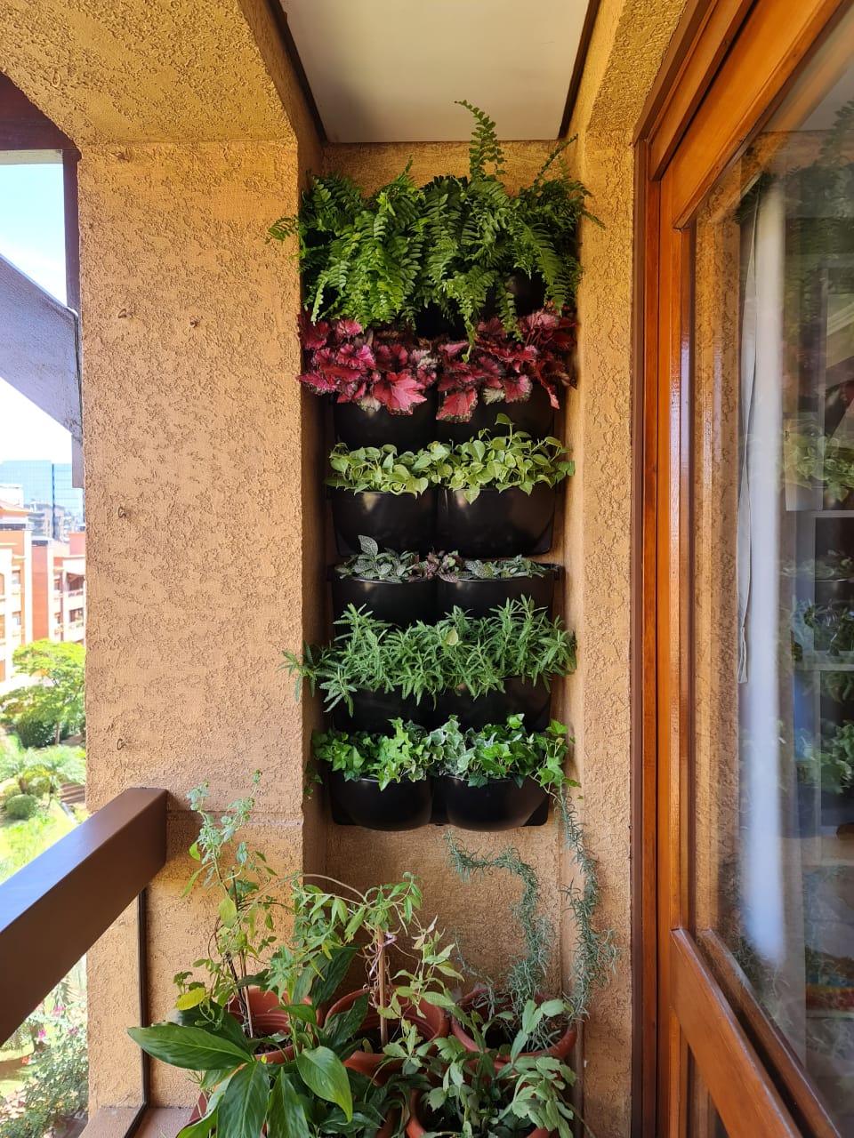 horta vertical apartamento com vasos suspensos