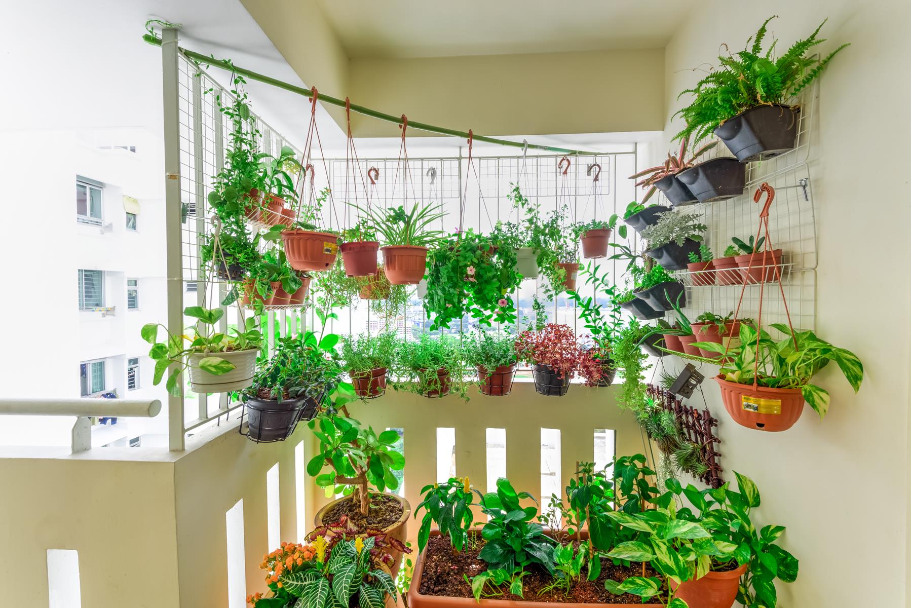 horta vertical apartamento cozinha