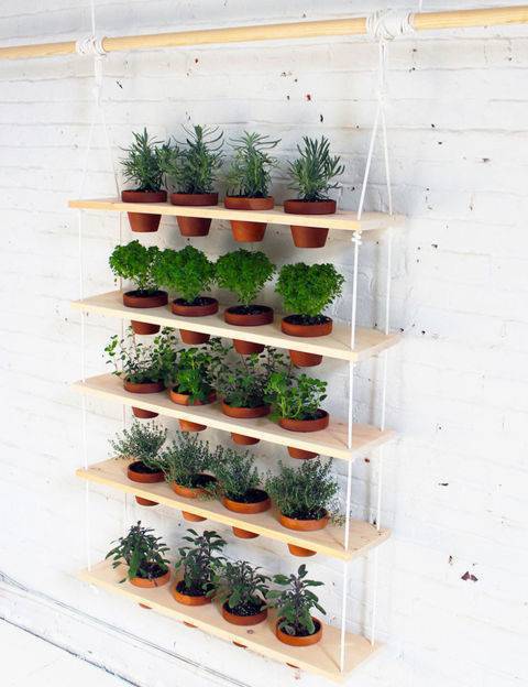 horta vertical apartamento horta