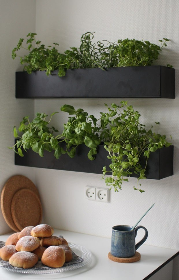 horta vertical apartamento o que plantar