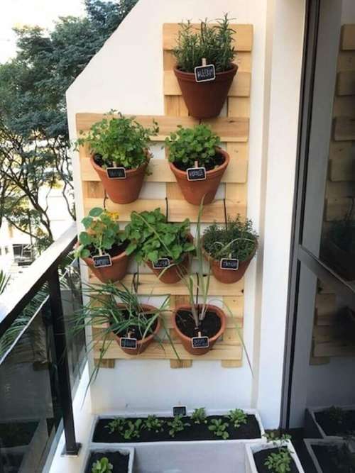horta vertical apartamento ideias