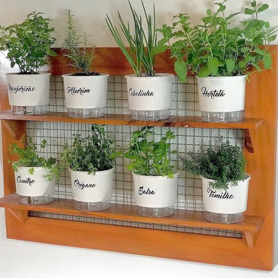 temperos para horta em apartamento