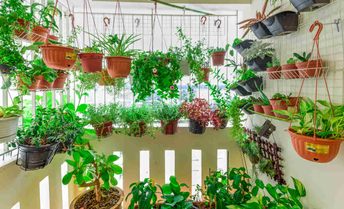 horta de temperos apartamento