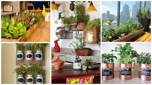 vasos para horta de apartamento