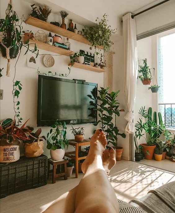 como montar jardim em apartamento pequeno