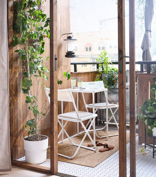 plantas para apartamento com pouca luz