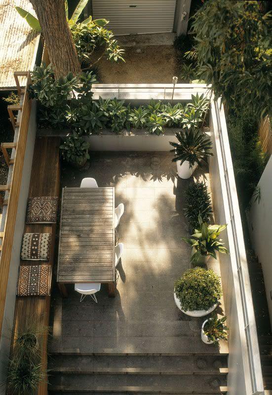 decoração com plantas apartamento pequeno