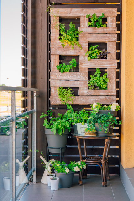 Como fazer jardim vertical em apartamento