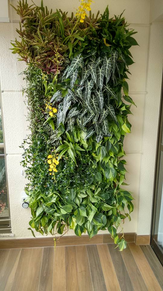 Jardim vertical varanda apartamento