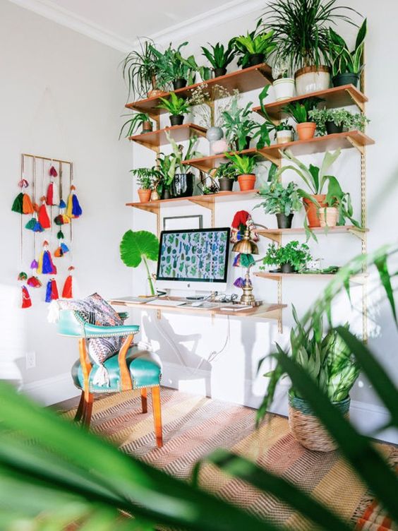 Jardim vertical apartamento DIY