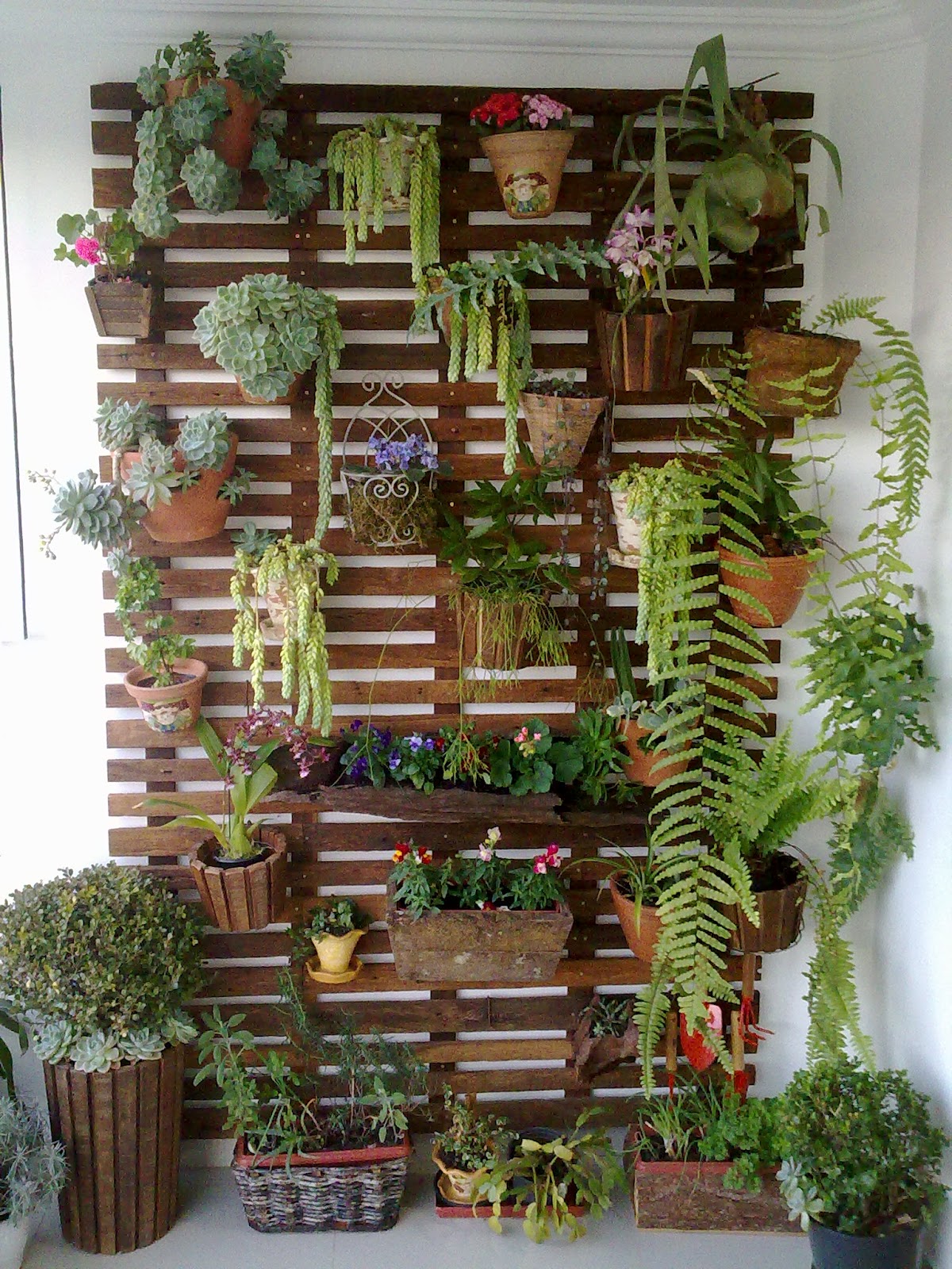 Jardim vertical apartamento com flores