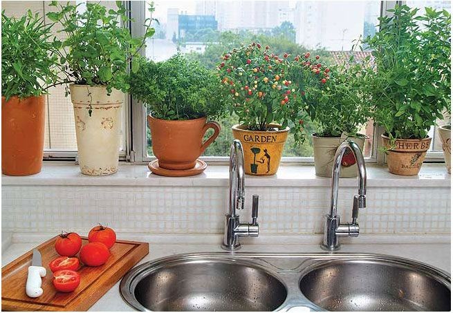 horta hidropônica apartamento