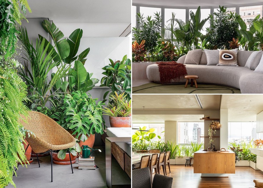 plantas para varanda de apartamento pequena