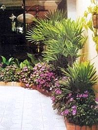 horta em apartamento varanda