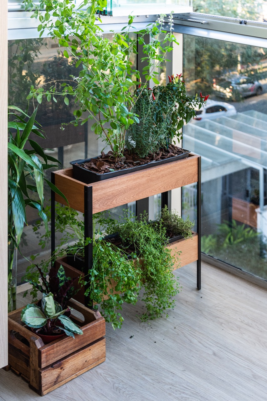 plantas resistentes vento varanda