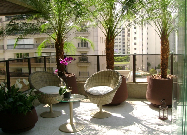 manutenção plantas varanda apartamento