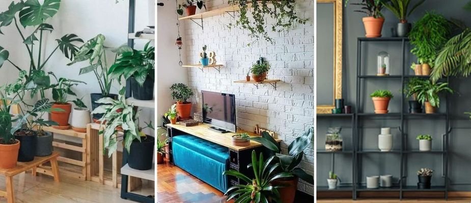 plantas para apartamento com pets
