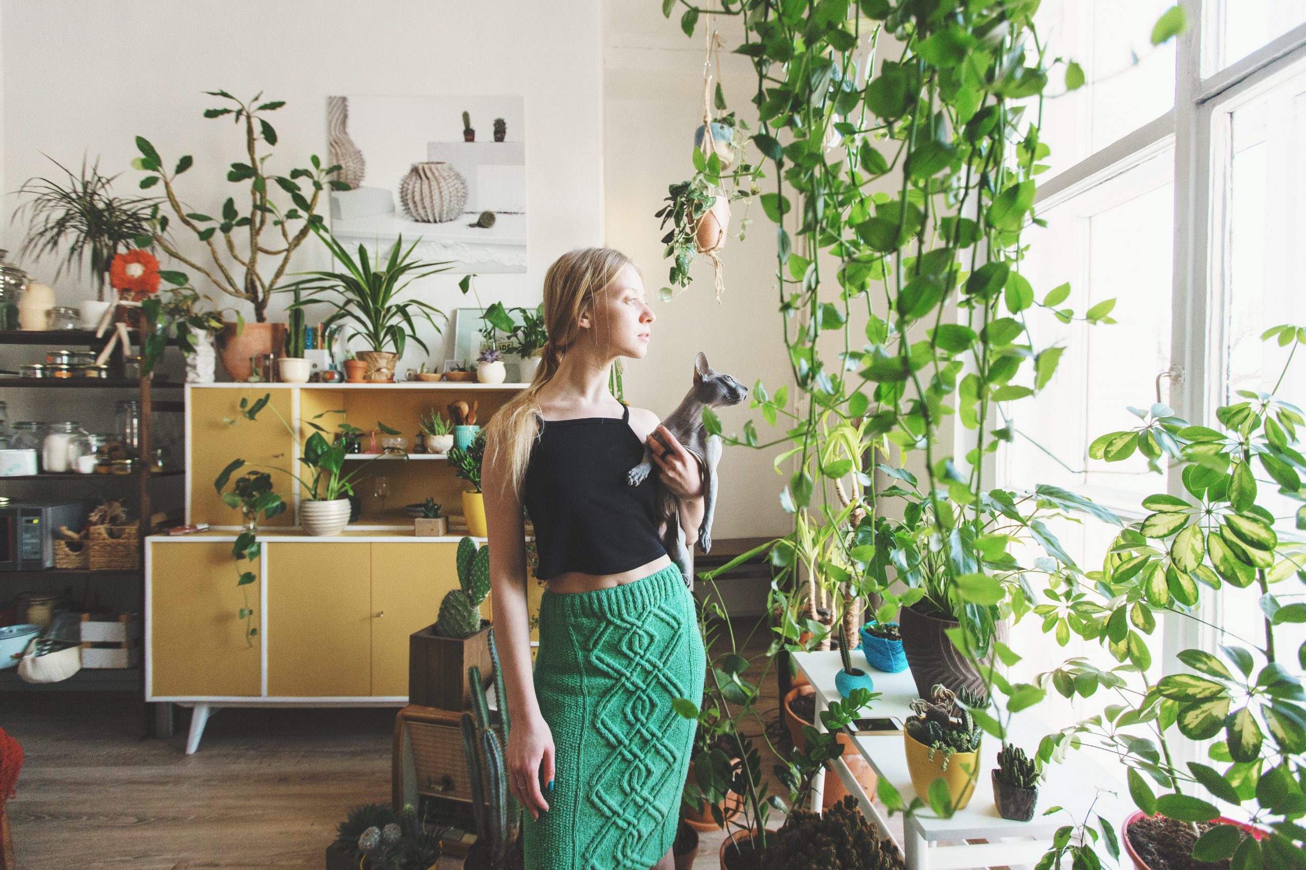 plantas para varanda de apartamento