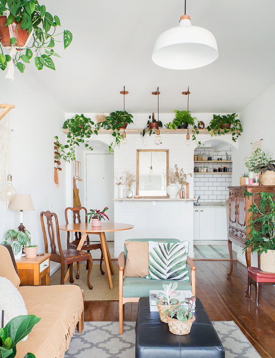 plantas para apartamento pequeno com pouca luz