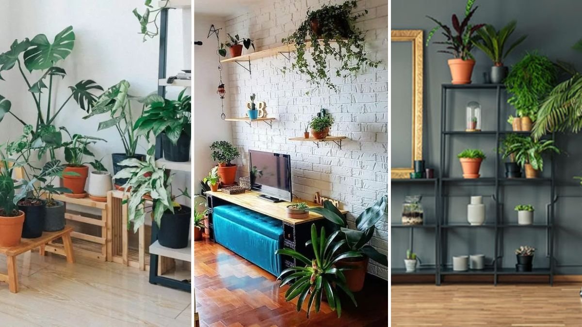 plantas para apartamento pequeno e pet friendly