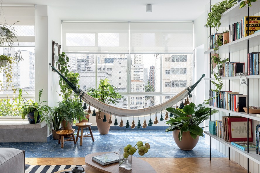 plantas para apartamento pequeno e escuras