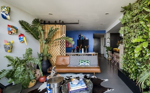 plantas para apartamento pequeno com pouca luz