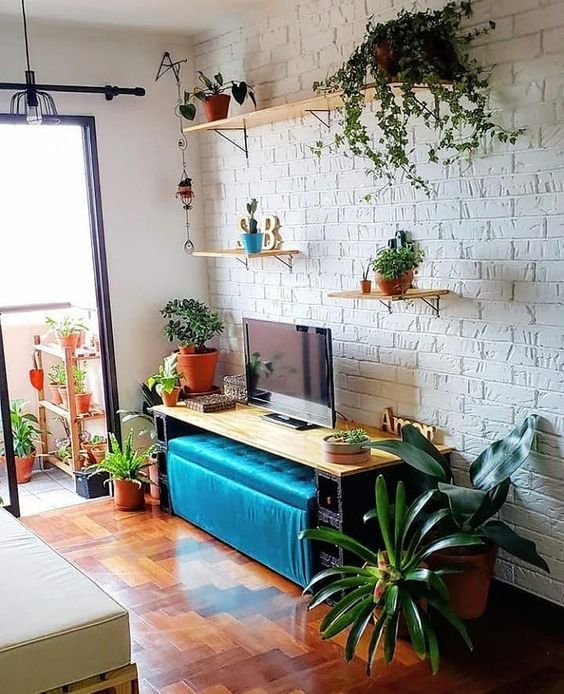 plantas para apartamento pequeno e baratas