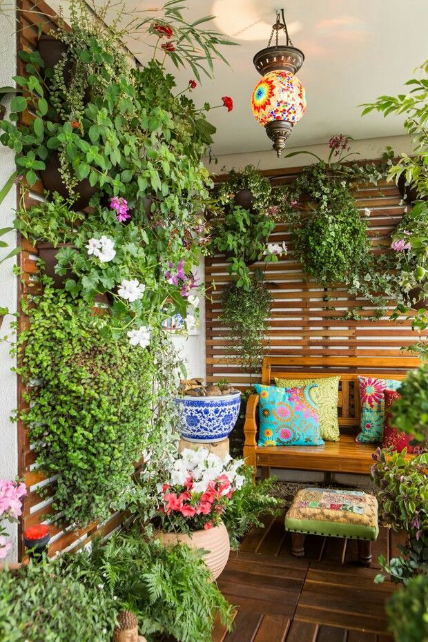 plantas para sacada de apartamento sol da manhã