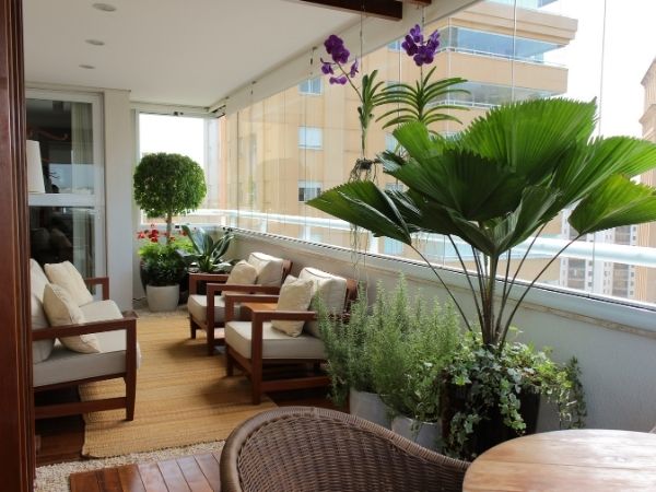 plantas para sacada com pouco sol