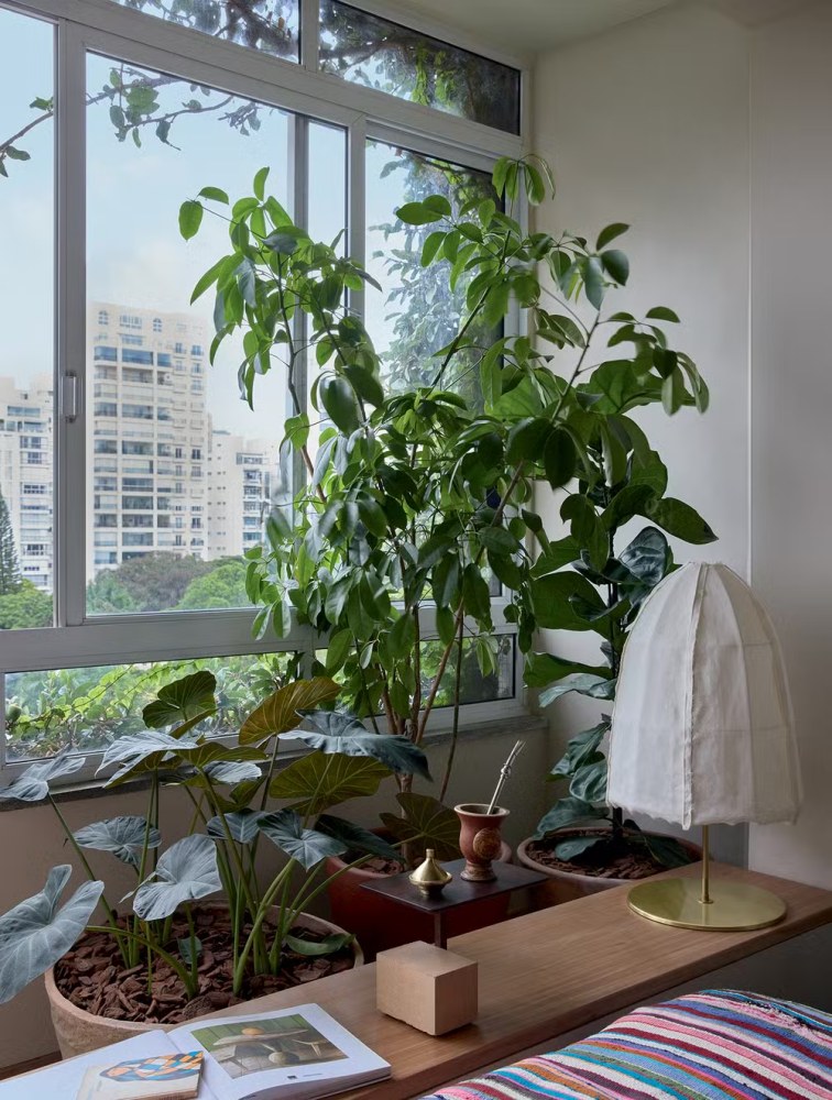 plantas para sacada com muito sol